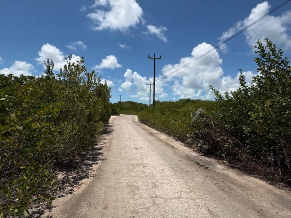 Parcel 11498-North Ambergris Caye – Residential/Investment Lot