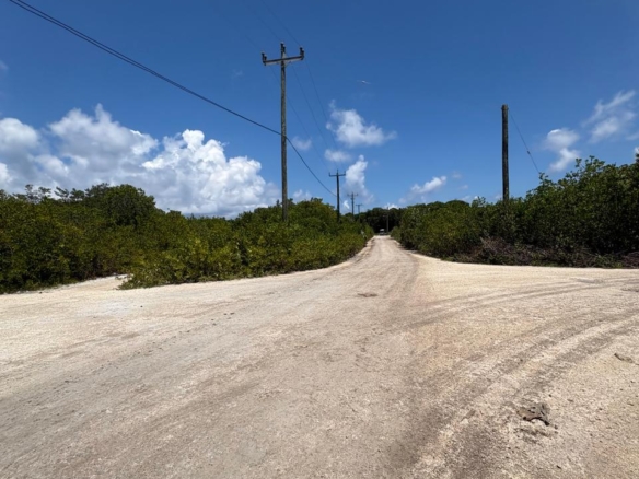 Affordable Island Double Lot- North Ambergris Caye 🇧🇿