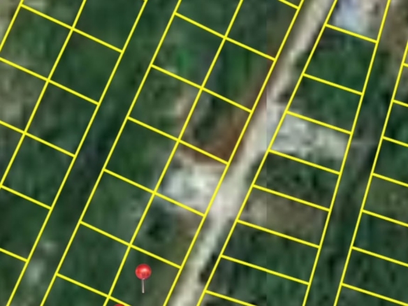 Affordable Island Double Lot- North Ambergris Caye 🇧🇿