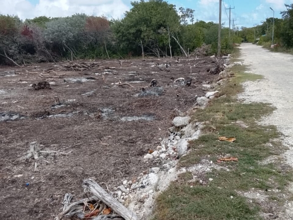 Affordable Island Double Lot- North Ambergris Caye 🇧🇿