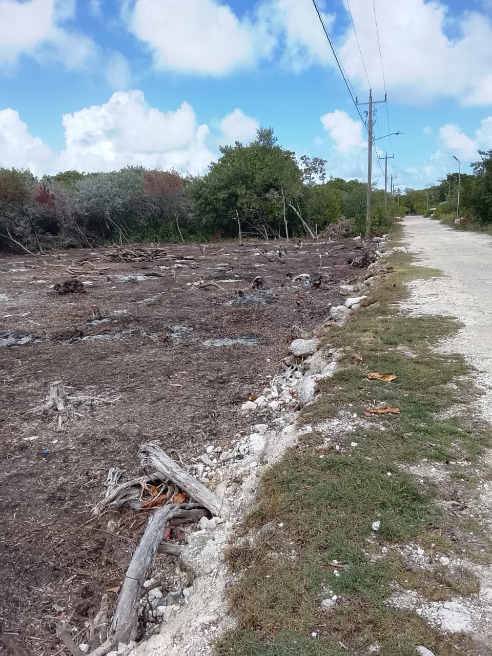 Affordable Island Double Lot- North Ambergris Caye 🇧🇿